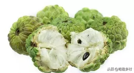 50種不常見的奇葩水果,看看你吃過哪幾個?