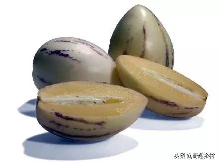 50種不常見的奇葩水果,看看你吃過哪幾個?
