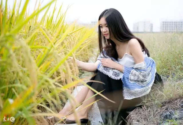 婆家大方給雙倍彩禮,結婚30天看到手機里的照片,我落荒而逃