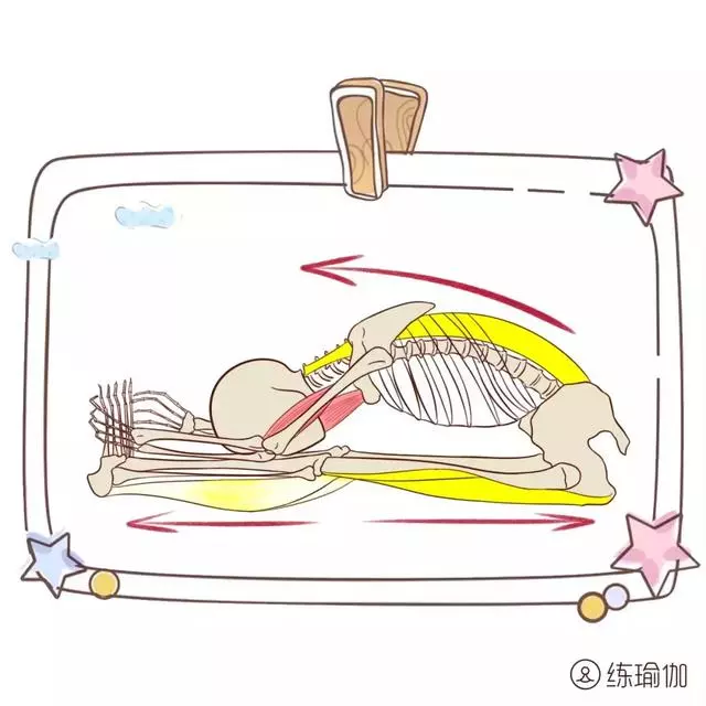 椎間盤突出症不能瞎鍛煉會致病,最全正確鍛煉方法,59萬人都在用!