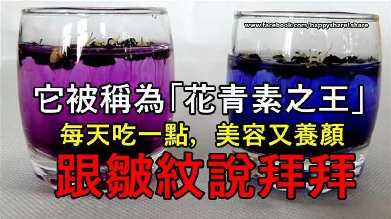 它被稱為「花青素之王」,多吃它美容又養顏!