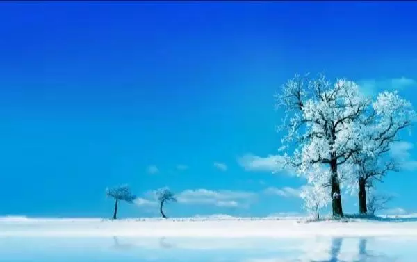 成功人打死也不會說的成功秘訣