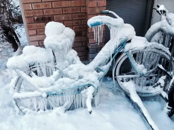 當天氣冷成這樣時,慶幸我住在台灣…