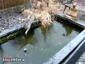 當天氣冷成這樣時,慶幸我住在台灣…