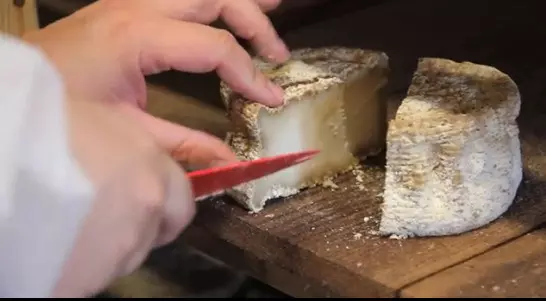 6種自人體取材的食物,這你敢吃?