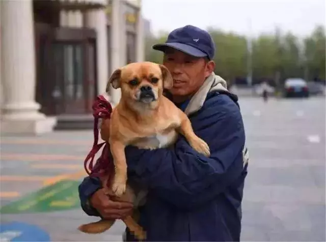環衛工救助流浪狗,狗狗為報恩不離不棄,每日跟隨主人打掃馬路!