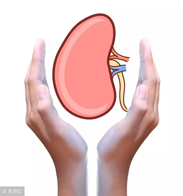 高血壓不想變成慢性腎衰竭?醫生:做好2件預防,就沒什麼大事!