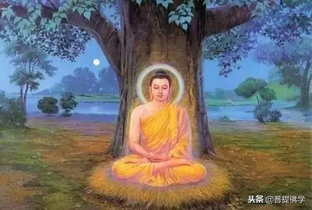 菩提佛學:人性的弱點有哪些?人性的26個弱點