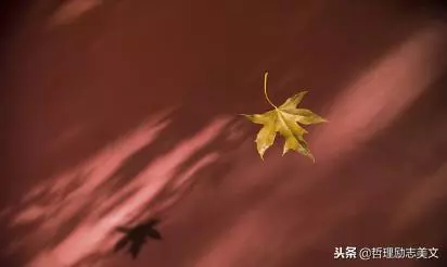 十條社會生存法則,使你的生活更加精彩!(深度美文)