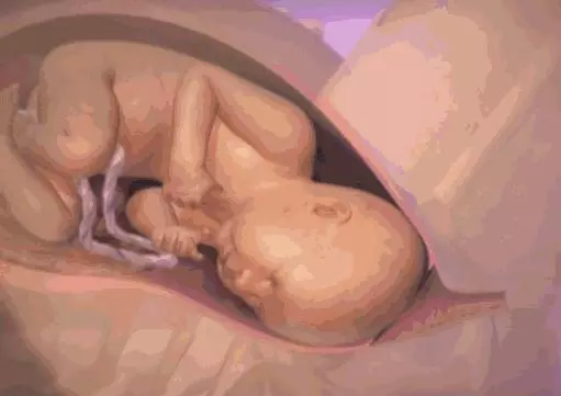 生寶寶順產到底有多疼?一組圖片告訴你:女人有多不容易!請珍惜每一個媽媽!