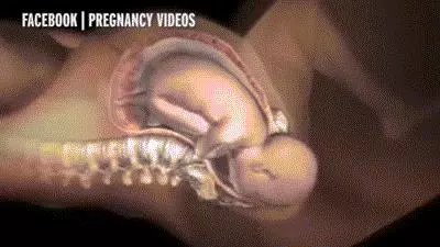 生寶寶順產到底有多疼?一組圖片告訴你:女人有多不容易!請珍惜每一個媽媽!