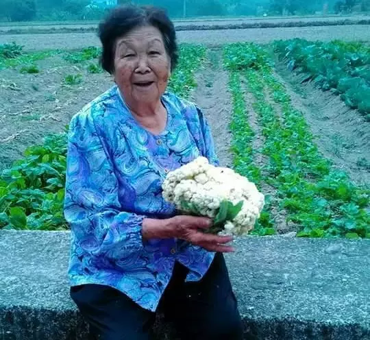 情深長達76載 妻病亡夫悲傷過度也辭世