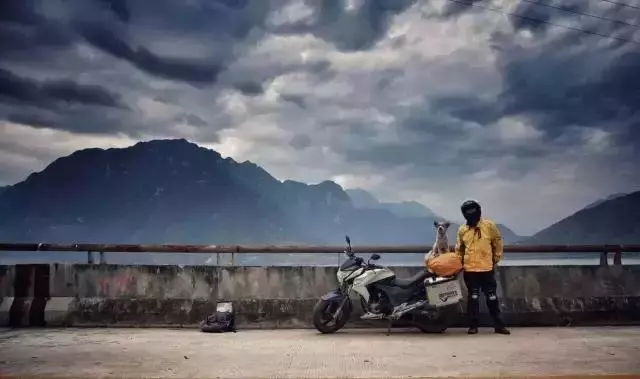 一人一狗走西藏:史上最萌流浪狗,溫暖了他孤獨的旅行