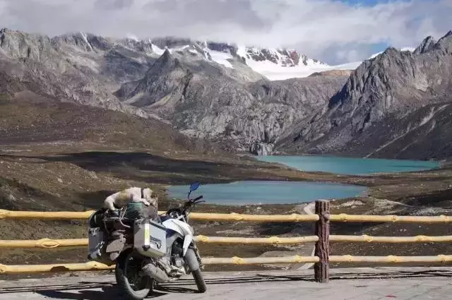 一人一狗走西藏:史上最萌流浪狗,溫暖了他孤獨的旅行