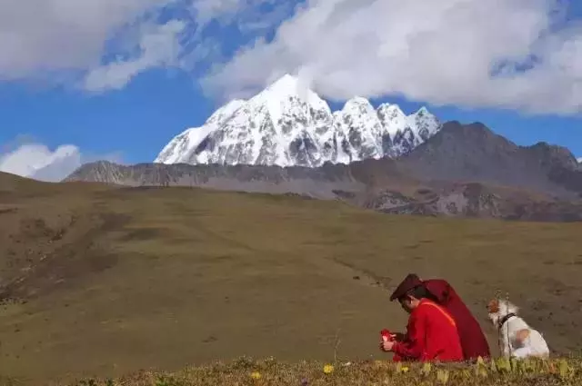 一人一狗走西藏:史上最萌流浪狗,溫暖了他孤獨的旅行