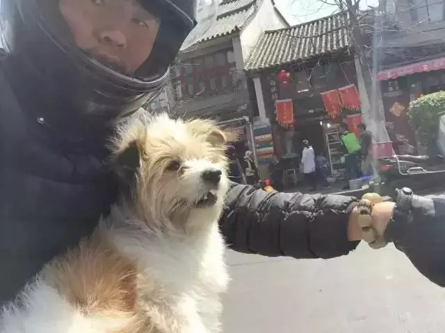 一人一狗走西藏:史上最萌流浪狗,溫暖了他孤獨的旅行