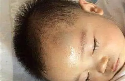 不想小孩子受傷,最好不要養以下的5種狗狗