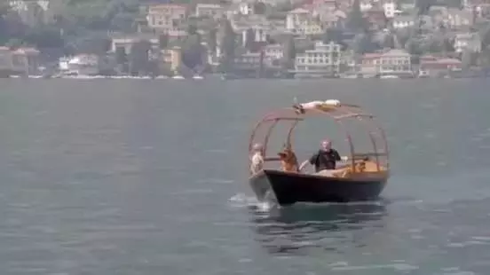 世界上最富有的狗,狗生贏家標準的狗族富二代