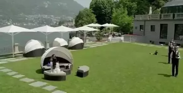世界上最富有的狗,狗生贏家標準的狗族富二代