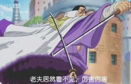 海賊王:雨之希留透明果實有何用?藤虎:好強,我居然看不見