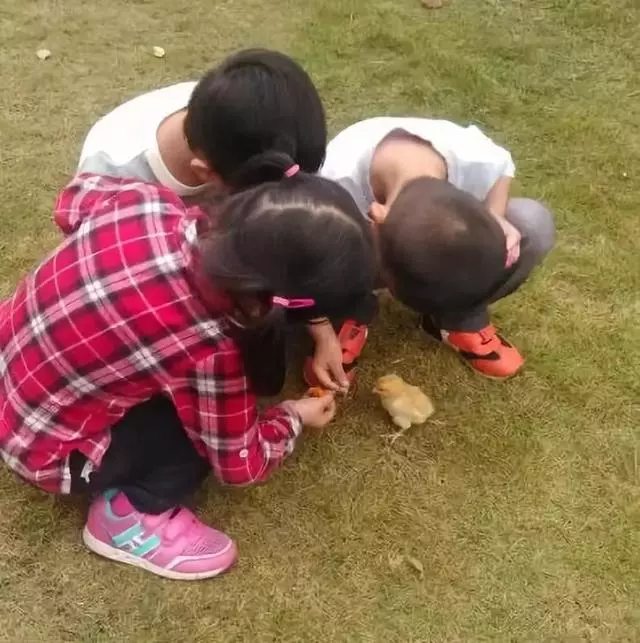 教育專家:孩子就要「髒」著養,太愛乾淨的父母,往往養不出聰明的孩子!