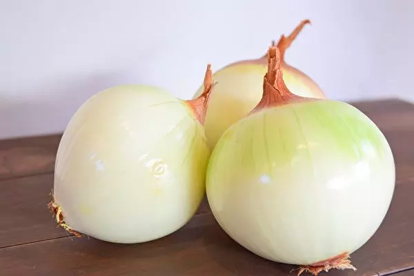 15種最有益健康的蔬菜 你都吃過嗎?
