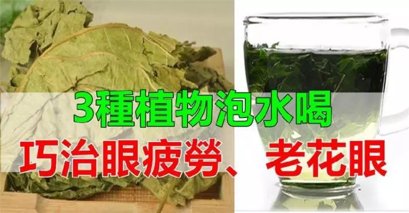 3種植物泡水喝,巧治眼疲勞、老花眼!