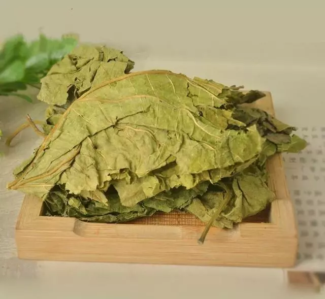 3種植物泡水喝,巧治眼疲勞、老花眼!