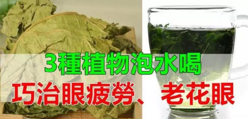 3種植物泡水喝,巧治眼疲勞、老花眼!