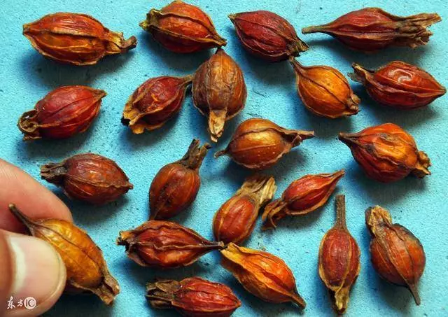 冰箱裡的3種食物,是「大忌」,尿酸高、腎臟不好的人別碰