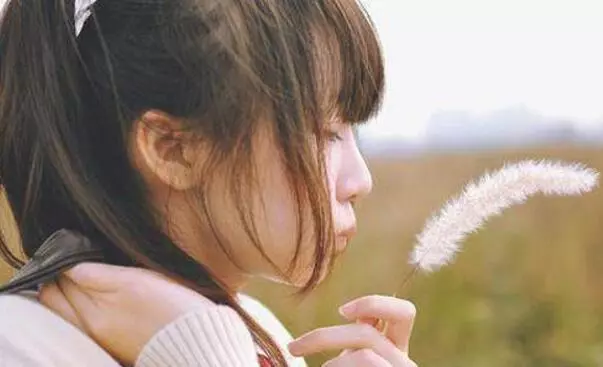 姐,你跟媽氣走了小綿羊,如今娶來只母老虎,你們滿意了吧