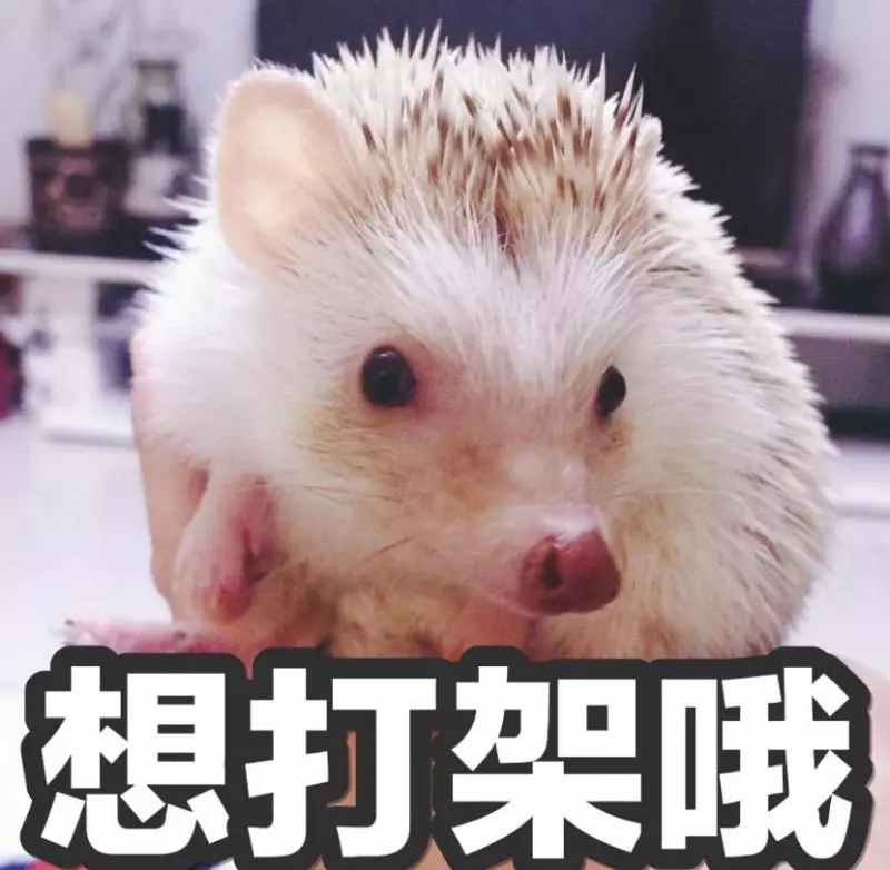 狗狗一邊叫一邊跑回家,眼淚汪汪的找主人,主人一看趕緊送醫院!