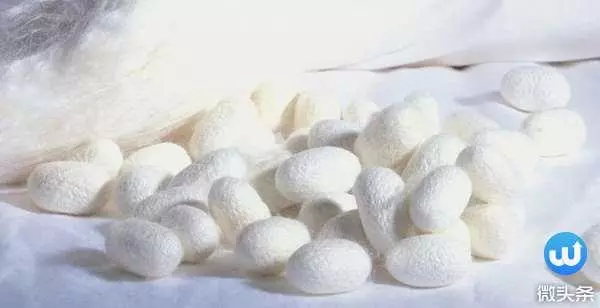 台灣冬天超濕冷!棉被不能曬出現霉味時怎麼辦?用「這招」比曬太陽有用一百倍