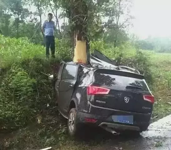 當你剎車失靈了,撞牆和撞樹哪個才能活下來
