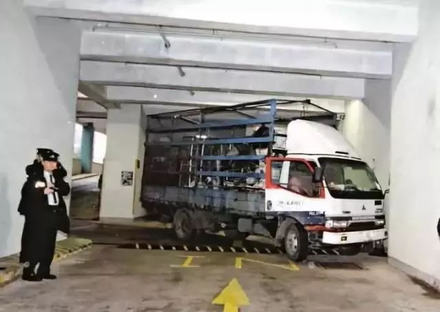當你剎車失靈了,撞牆和撞樹哪個才能活下來