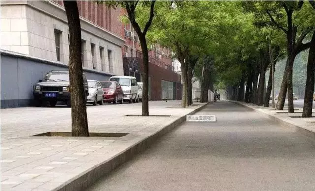 當你剎車失靈了,撞牆和撞樹哪個才能活下來