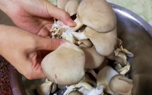 蘑菇最過癮的做法,花了3年研究,我家一周7頓吃不膩,太香了!