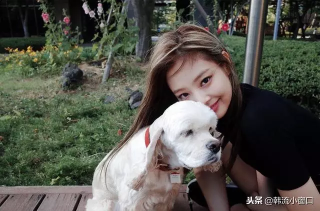 BLACKPINK智妮JENNIE力壓TWICE泰妍!五大原因分析!黑粉功不可沒