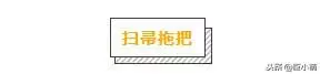 最讓小狗困惑的6個東西,有趣但別養成壞習慣