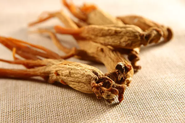 吃蘆薈抗老除皺!實證去皺紋的5種天然方法