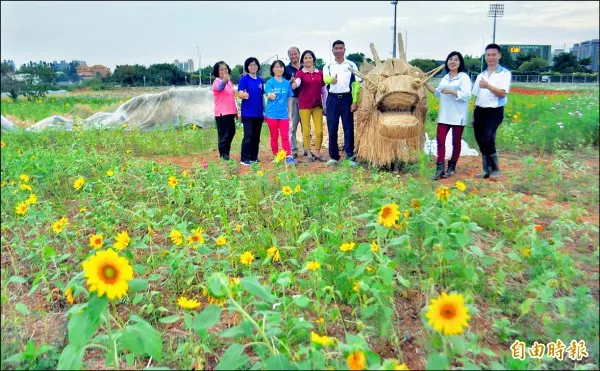 紫爆了! 媲美薰衣草 「仙草」花田原來這麼美