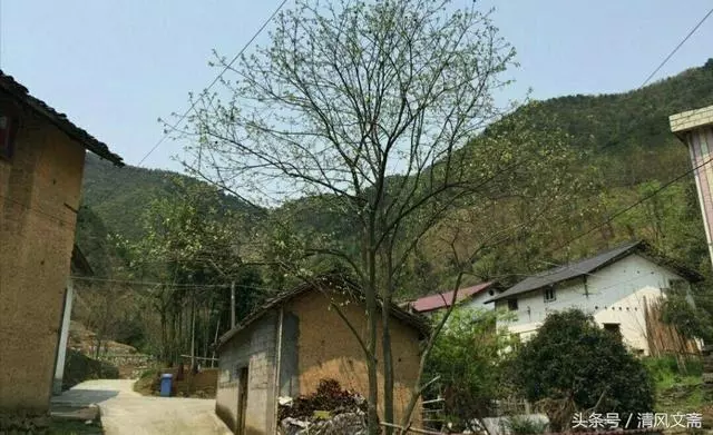 女兒死了五年,母親看見個和她長得很像的女孩,跑過去一看後悔了!