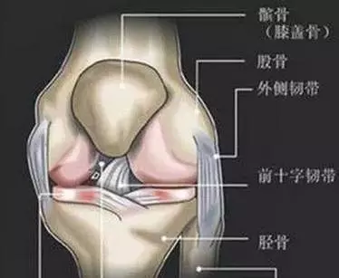 膝蓋骨痛有救了,家有腰腿疼痛的人,記得存起來