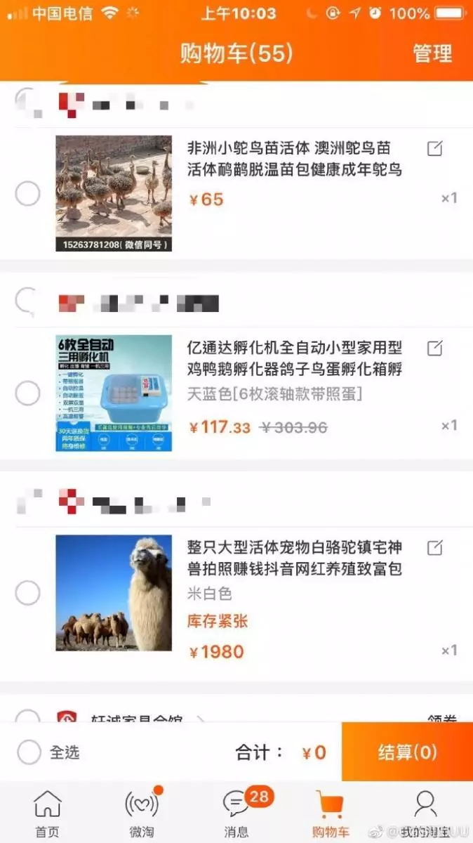 雙十一喝醉後上網亂點 男大生清醒「見到付款訂單」崩潰了