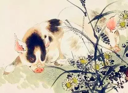 豬年走鴻運的5大生肖:事事都如意,處處都風光,手裡都是錢!