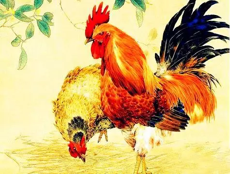 豬年走鴻運的5大生肖:事事都如意,處處都風光,手裡都是錢!