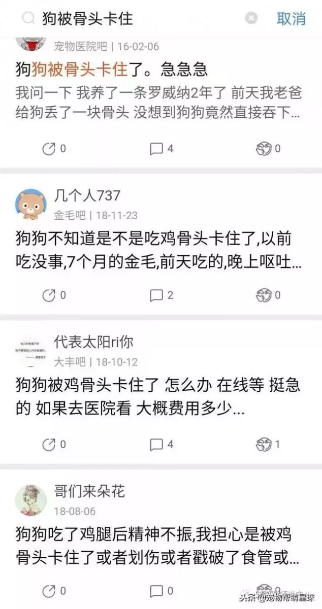 狗狗吃骨頭卡住嘴巴,吃骨頭有風險,喂食需謹慎