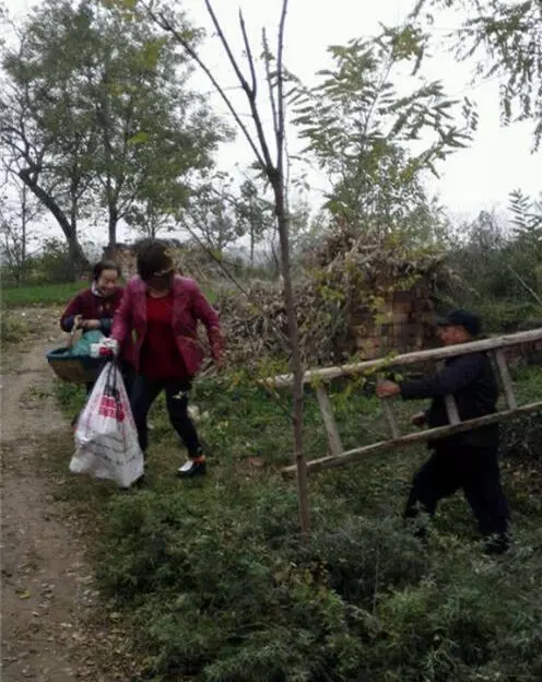 深坑發現一窩奶狗,心疼的看不下去,折騰一小時後終被運上