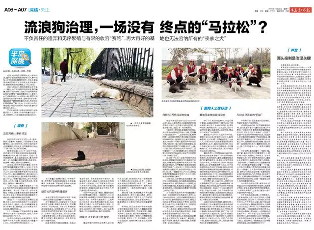 流浪狗治理,一場沒有終點的「馬拉松」?