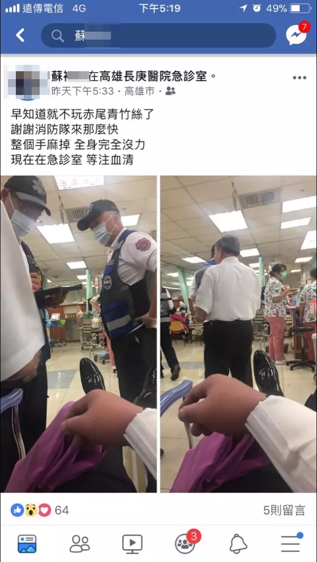 「不敢咬逆啦!」直播主伸手挑釁青竹絲 然後牠就咬下去惹